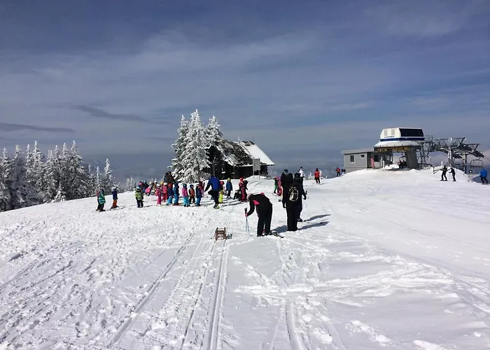 Apartmaji Snezinka Kope * Slovenj Gradec