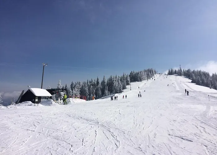 Apartmaji Snezinka Kope